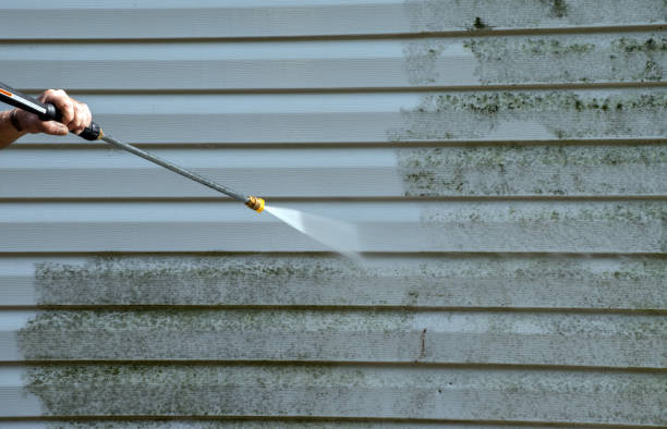 Best Residential Mold Remediation in Carnesville, GA