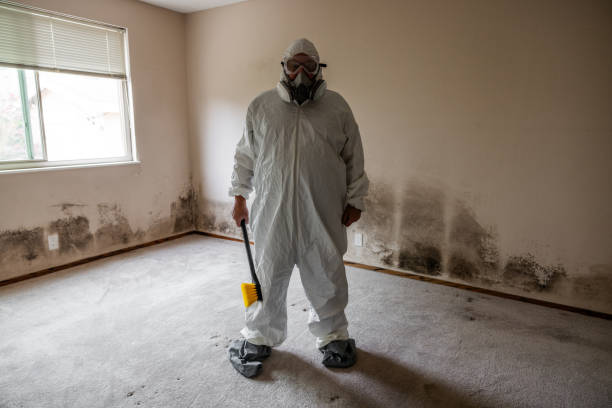 Best Residential Mold Remediation in Carnesville, GA