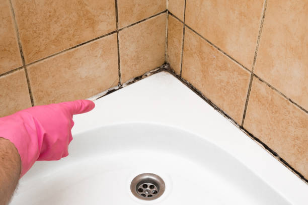 Best Bathroom Mold Remediation in Carnesville, GA